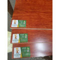 Wood Veneer Commercial Plywood